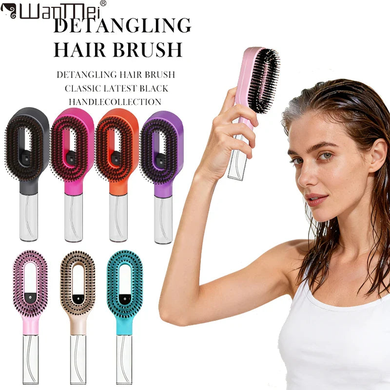 2-in-1 Hair Brush & Sprayer